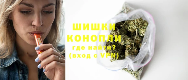 мдпв Кодинск