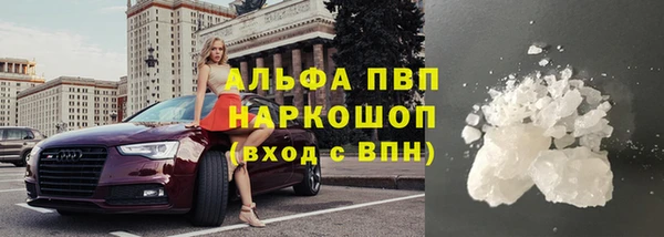 стафф Козловка